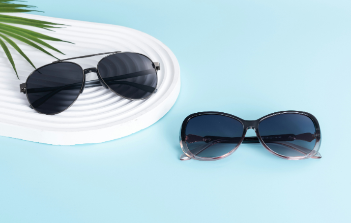 Reecomb Sunglasses Adjustable Tint